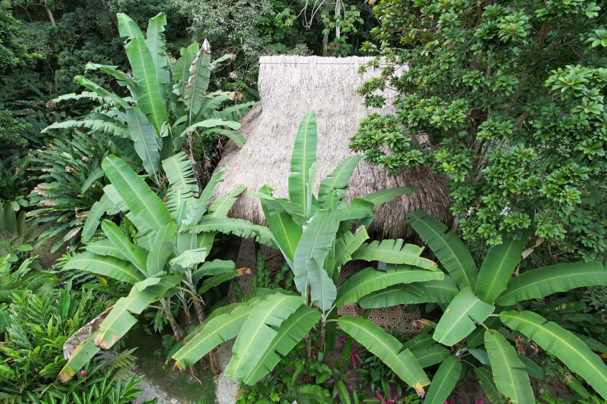 ホテル Salvia Madre Guachaca エクステリア 写真