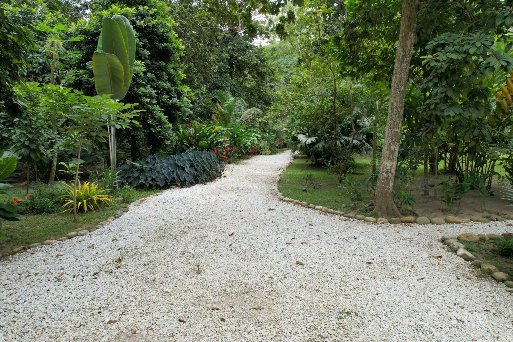 ホテル Salvia Madre Guachaca エクステリア 写真
