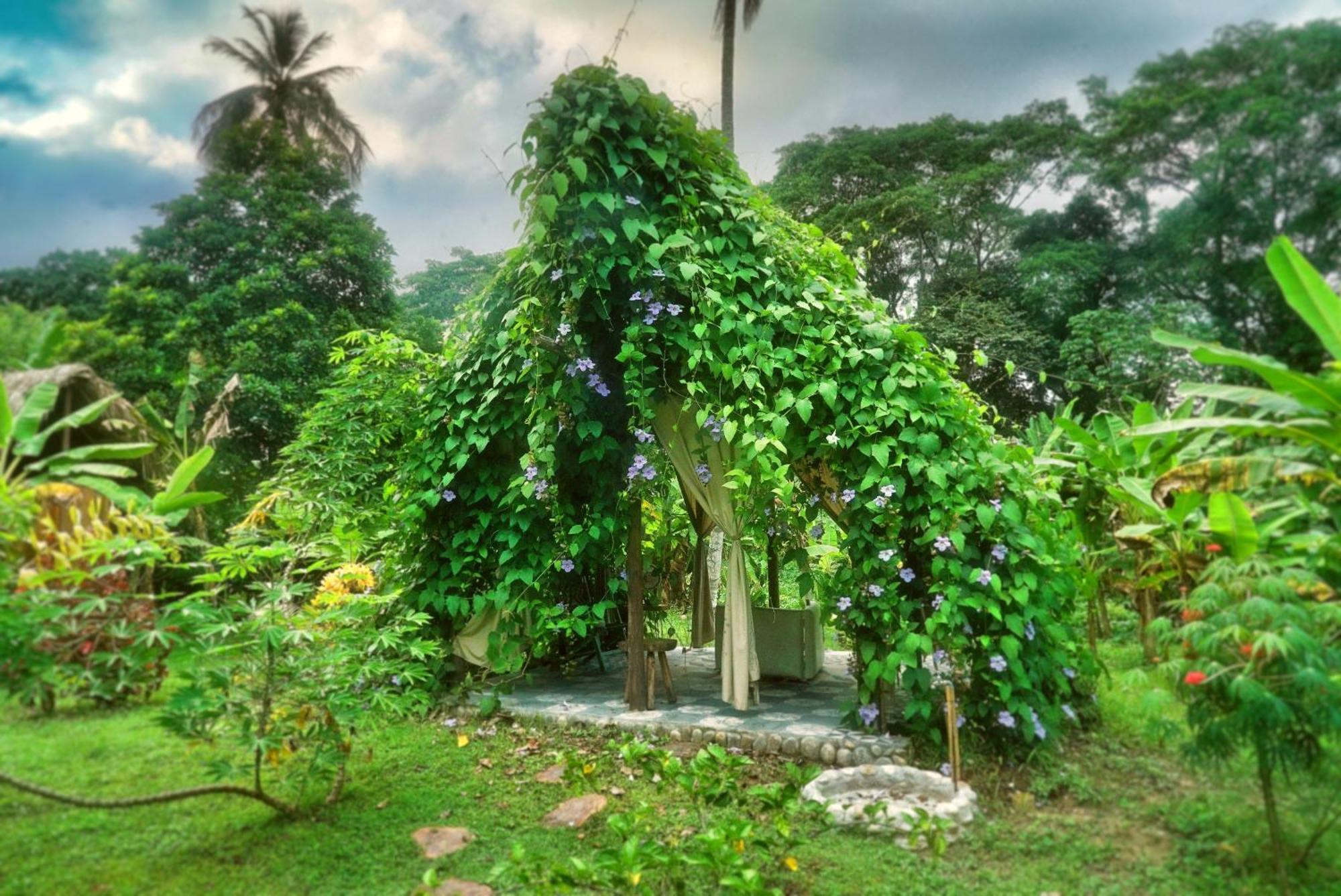 ホテル Salvia Madre Guachaca エクステリア 写真